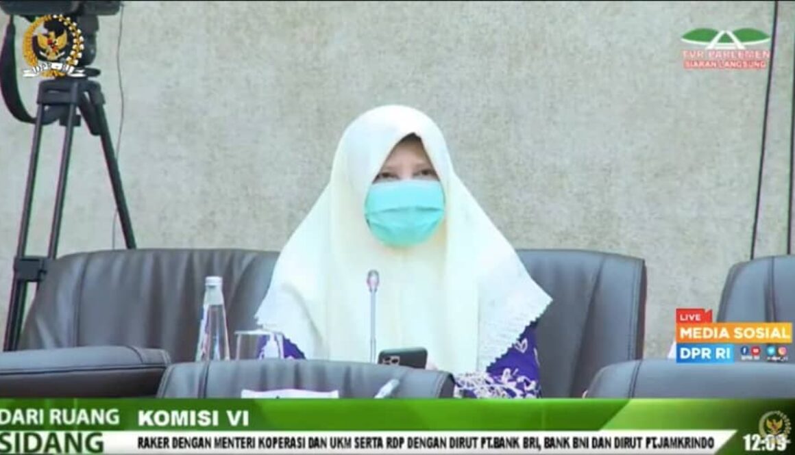 Rapat Kerja Dengan KemenkopUKM, Nevi Zuairina Minta Institusi Pengusul Penyaluran BPUM Ada Minimal 5 Lembaga