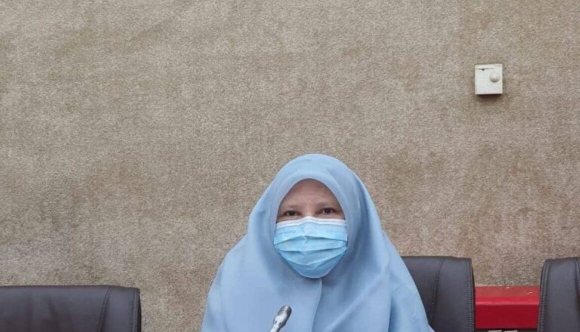 Nevi Zuairina Menilai Peran BUMN Sangat Strategis Berperan Memulihkan Ekonomi pada Prioritas UMKM