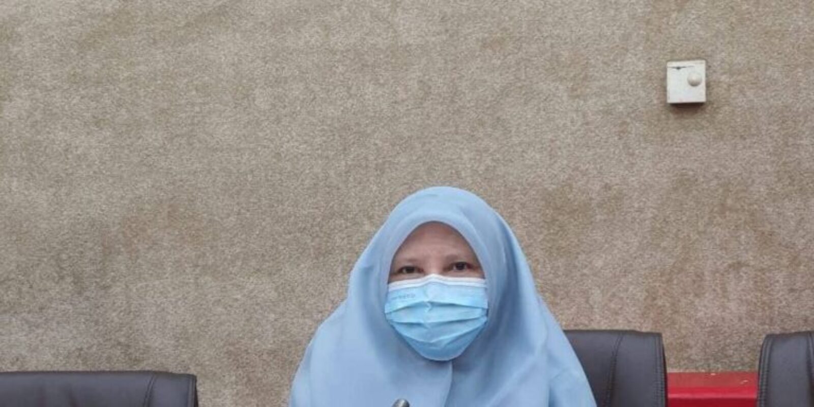 Nevi Zuairina Menilai Peran BUMN Sangat Strategis Berperan Memulihkan Ekonomi pada Prioritas UMKM