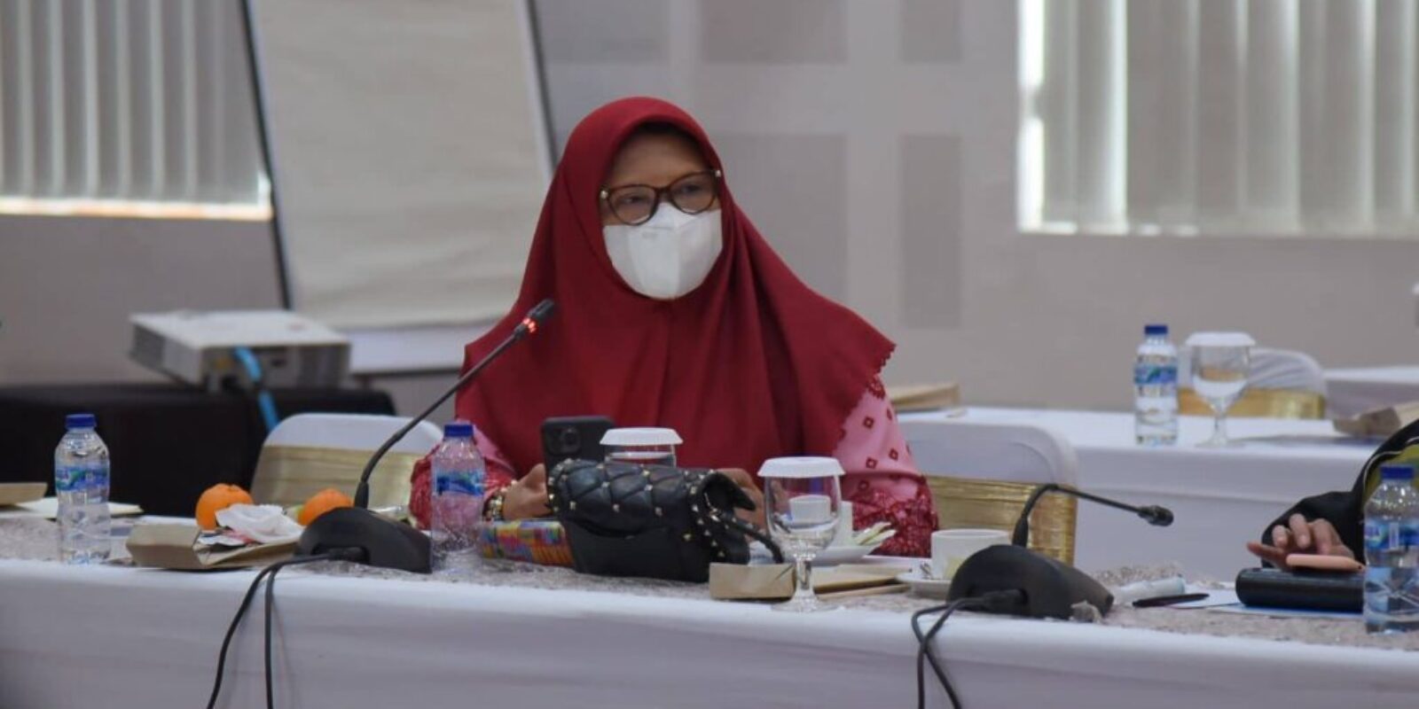 Kunjungan Spesifik Komisi VI DPR RI, Nevi Zuairina Minta BUMN Holding Ultra Mikro Dapat Mengeliminir Rentenir Pinjol Illegal